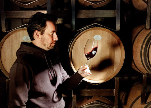 Ramūs nealkoholiniai vynai ir jų derinimas su maistu