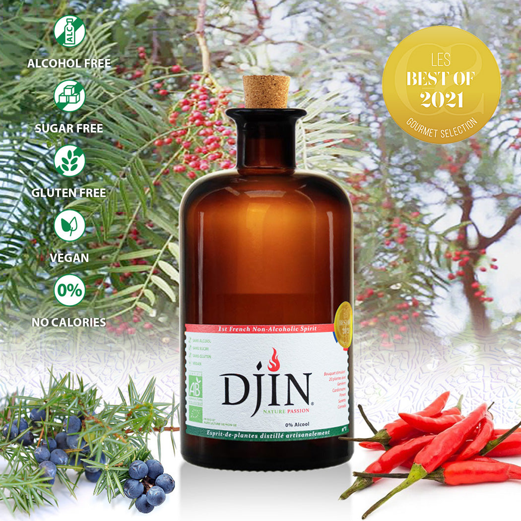 Nealkoholinis džino stiliaus gėrimas DJIN SPIRITS NATURE PASSION