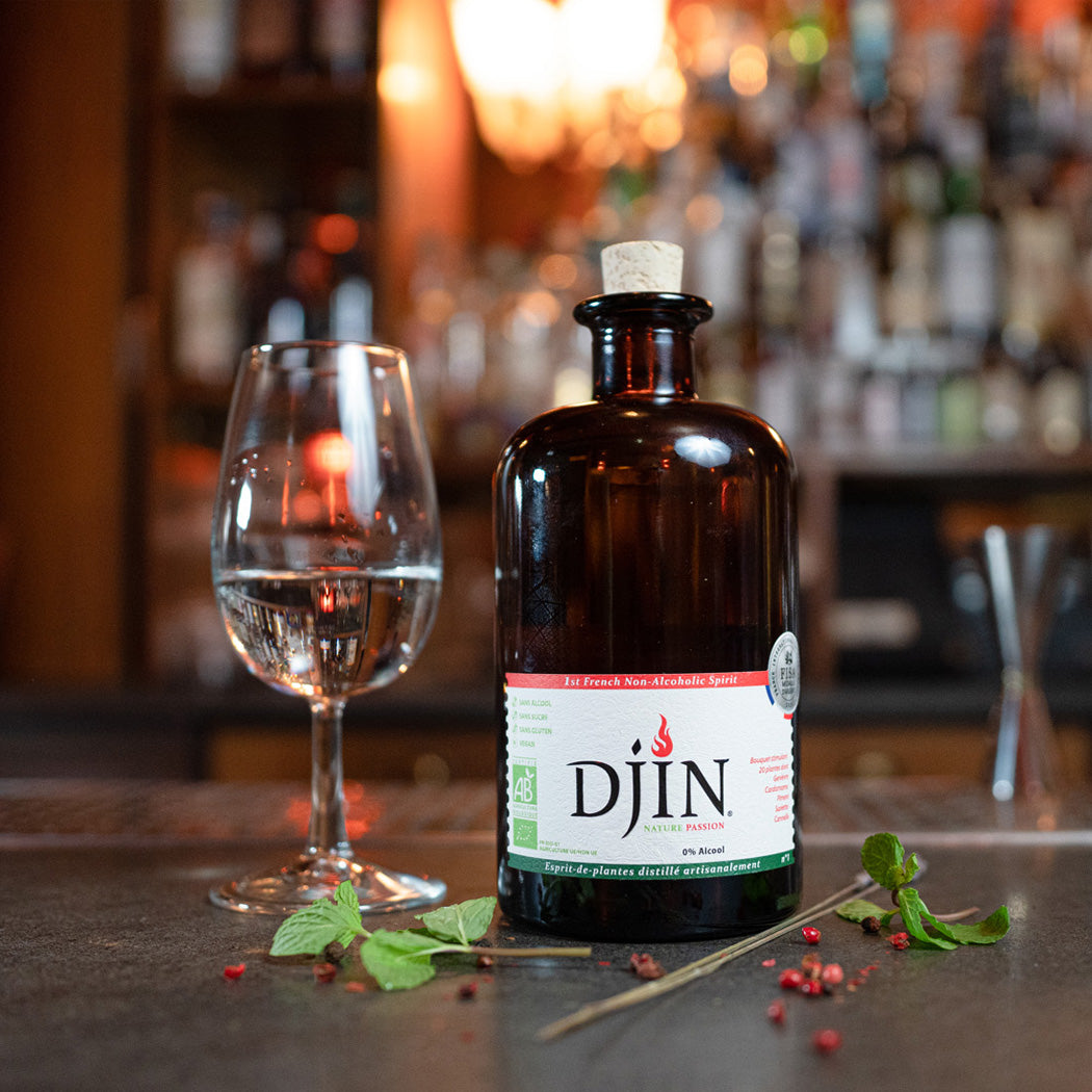 Nealkoholinis džino stiliaus gėrimas DJIN SPIRITS NATURE PASSION