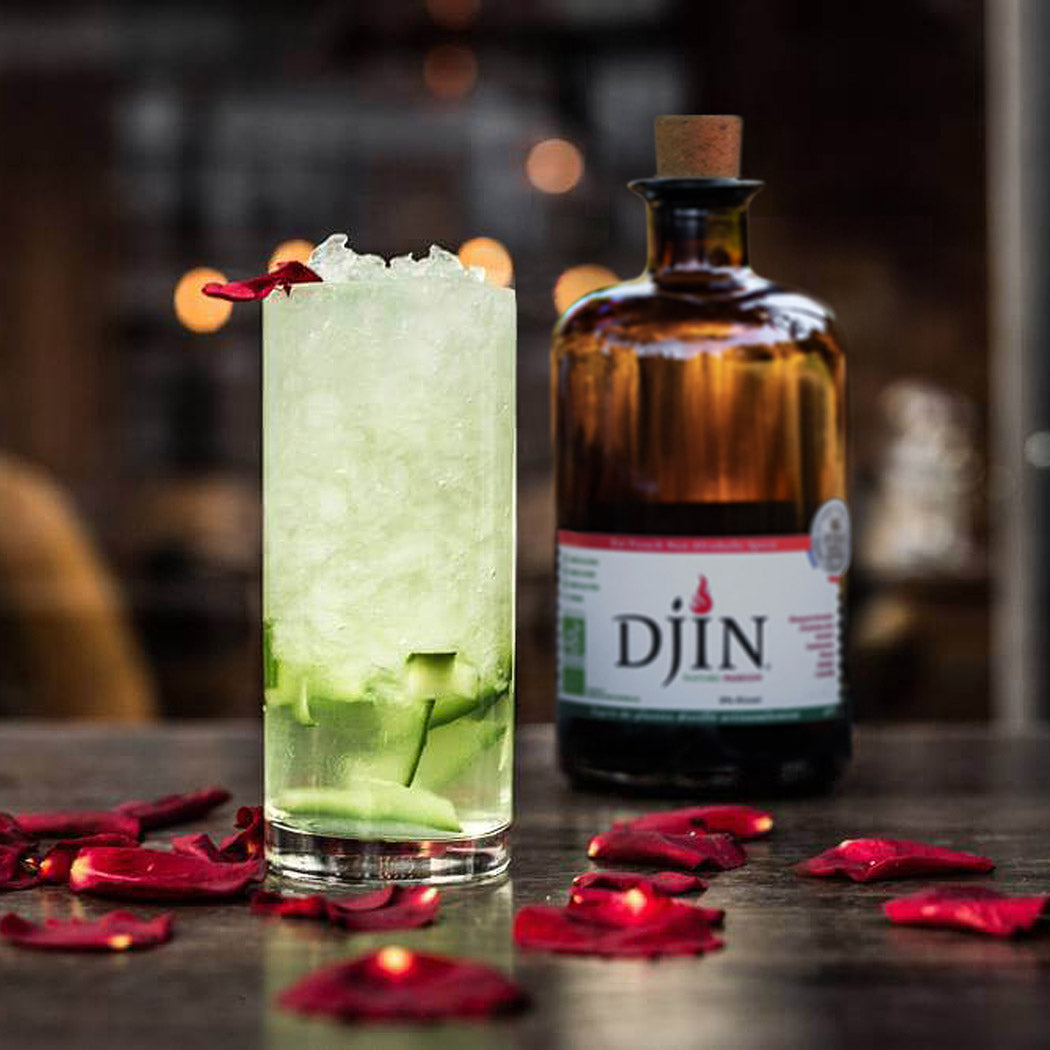 Nealkoholinis džino stiliaus gėrimas DJIN SPIRITS NATURE PASSION