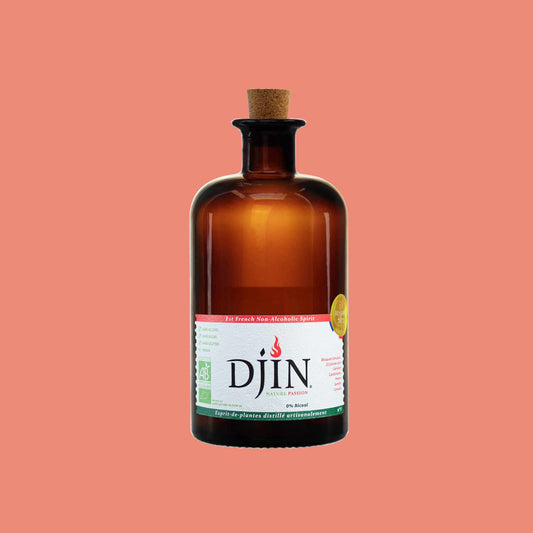 Nealkoholinis džino stiliaus gėrimas DJIN SPIRITS NATURE PASSION