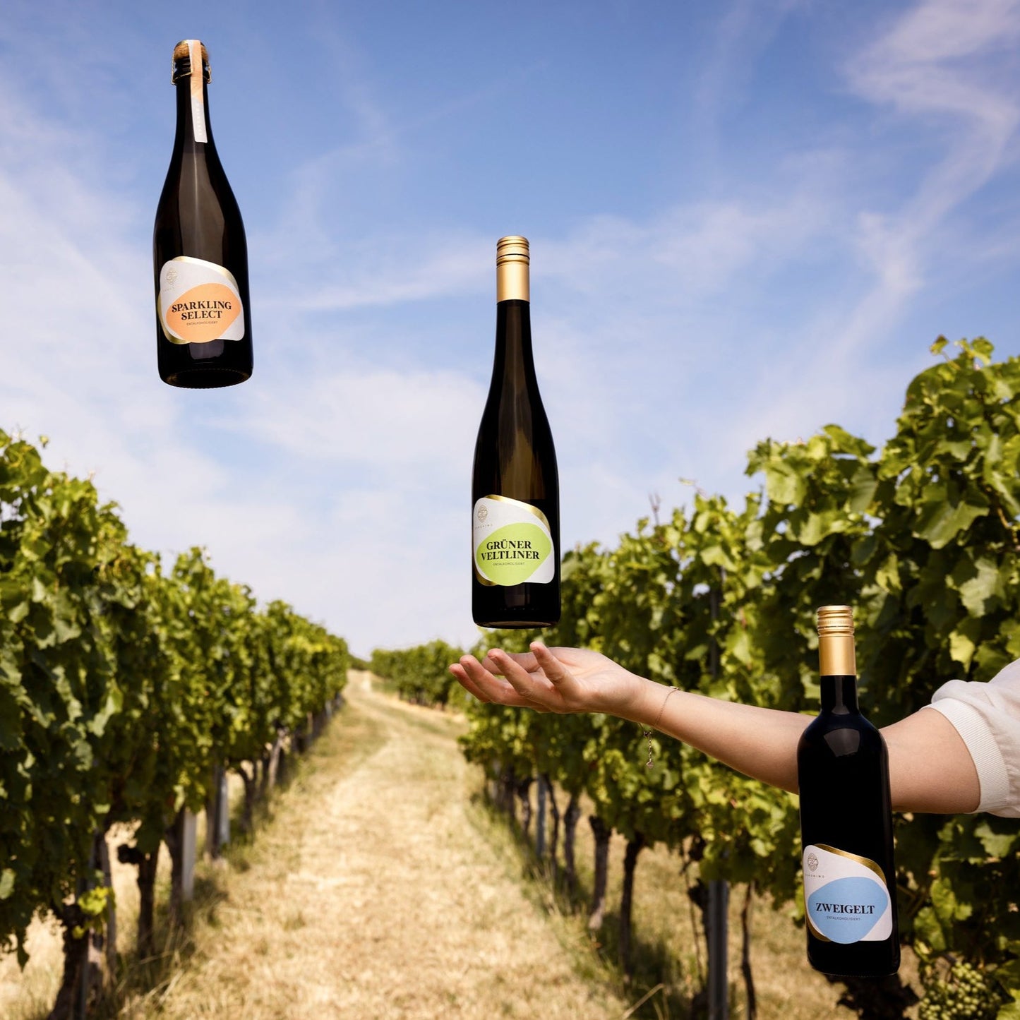 Nealkoholinis baltasis putojantis vynas ZERONIMO Sparkling Select